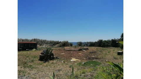 Terreno para Venda em Madalena