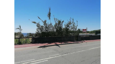 Terreno para Venda em Madalena