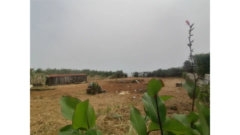 Terreno para Venda em Madalena