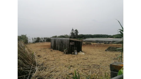 Terreno para Venda em Madalena