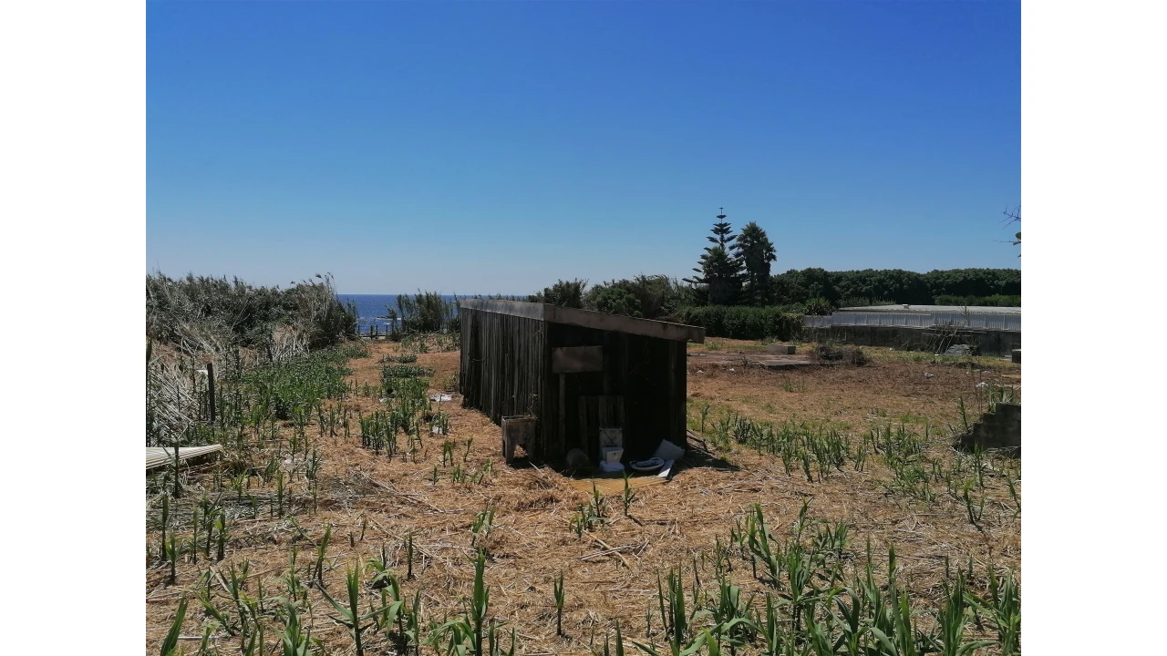Terreno para Venda em Madalena Foto 5