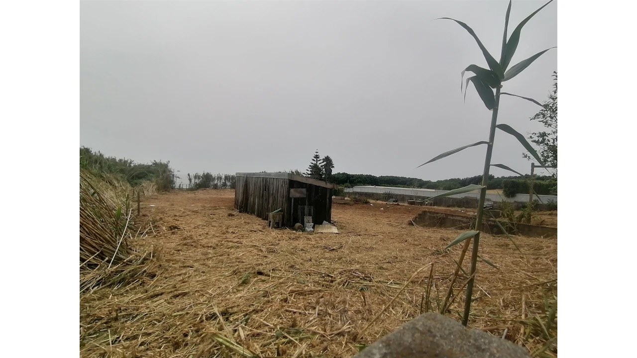 Terreno para Venda em Madalena Foto 26
