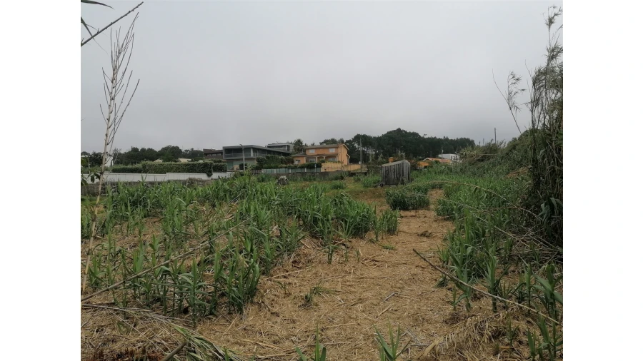 Terreno para Venda em Madalena Foto 13
