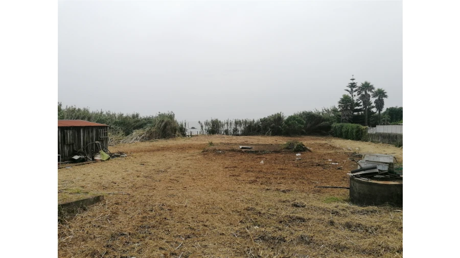 Terreno para Venda em Madalena Foto 16