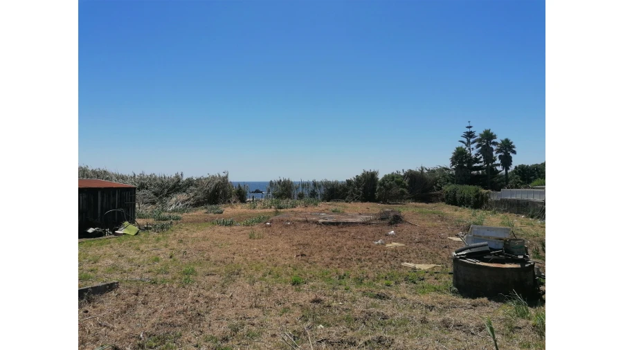 Terreno para Venda em Madalena Foto 7