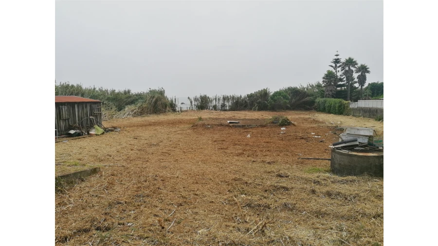 Terreno para Venda em Madalena Foto 18