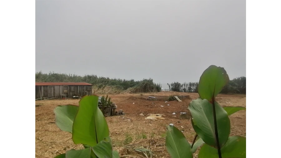 Terreno para Venda em Madalena Foto 19