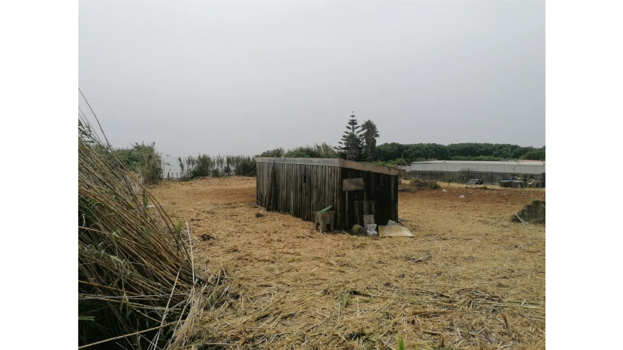 Terreno para Venda em Madalena Foto 33