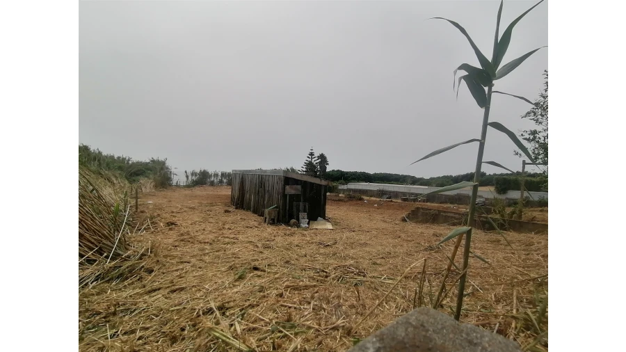 Terreno para Venda em Madalena Foto 26