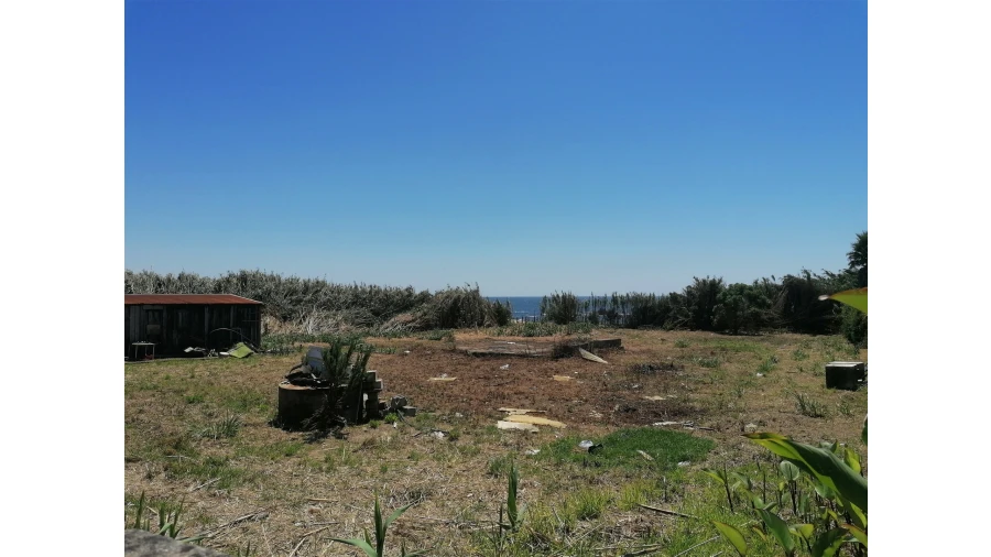 Terreno para Venda em Madalena Foto 3