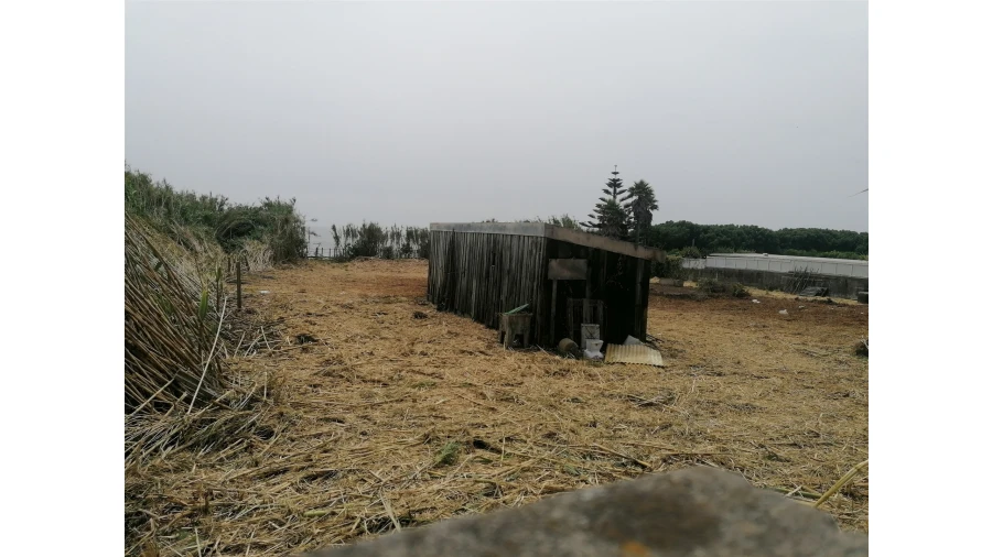 Terreno para Venda em Madalena Foto 27