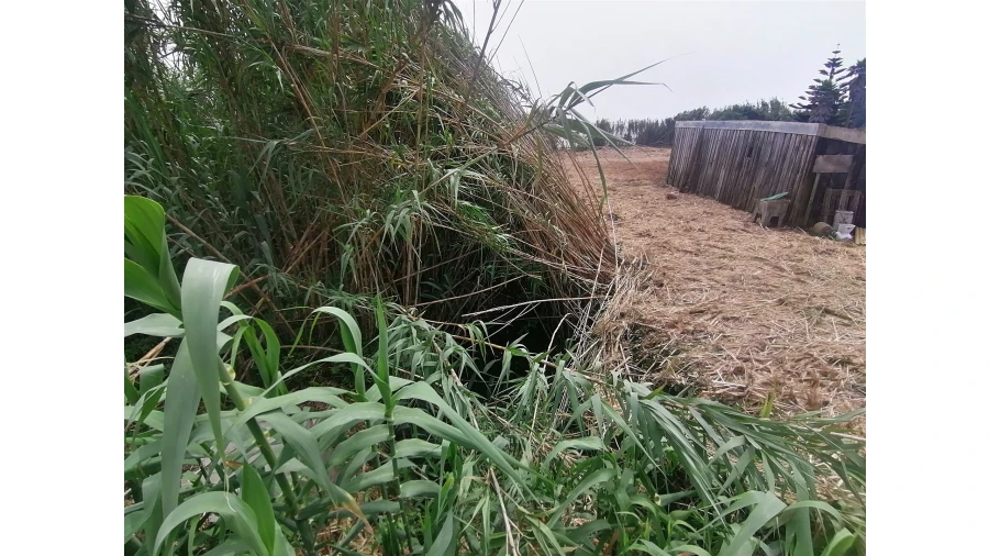 Terreno para Venda em Madalena Foto 29