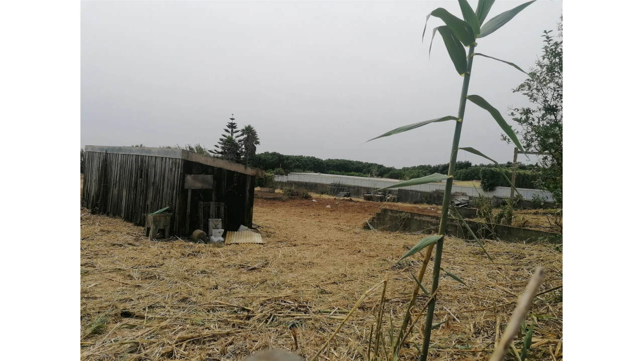 Terreno para Venda em Madalena Foto 28