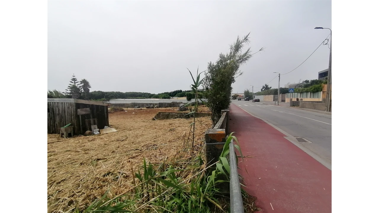 Terreno para Venda em Madalena Foto 30