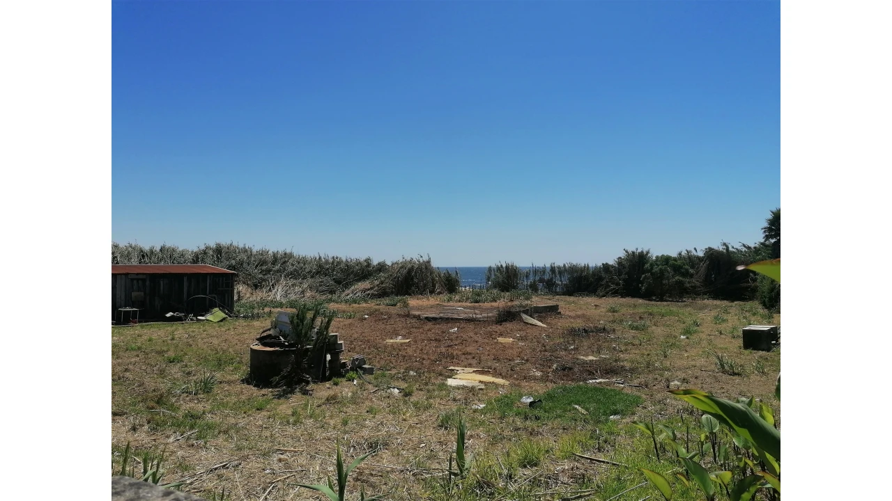 Terreno para Venda em Madalena Foto 3