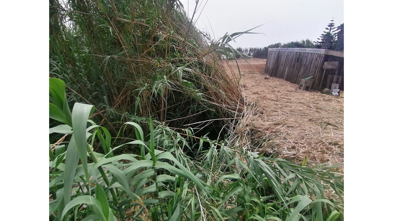 Terreno para Venda em Madalena Foto 29
