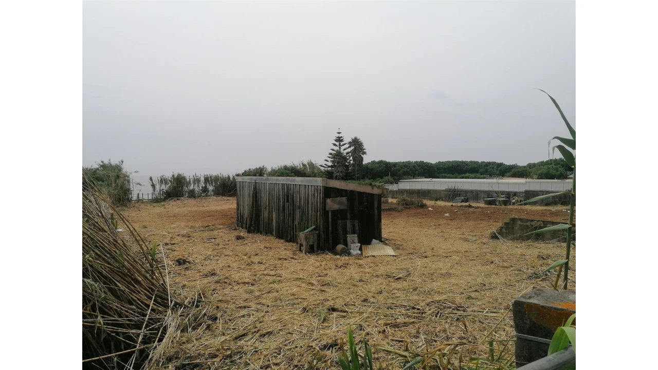 Terreno para Venda em Madalena Foto 17