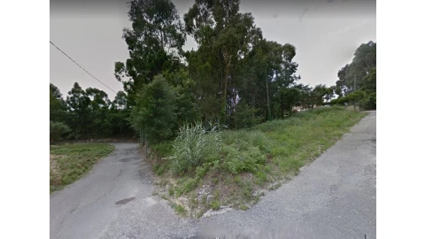 Terreno para Venda em Madalena