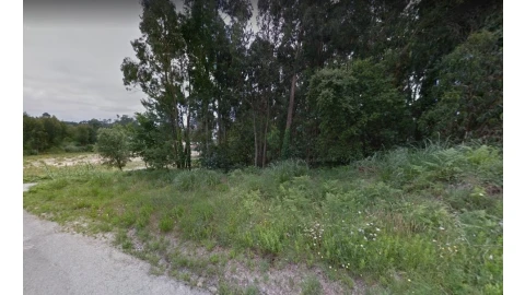 Terreno para Venda em Madalena