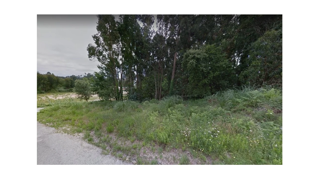 Terreno para Venda em Madalena Foto 9