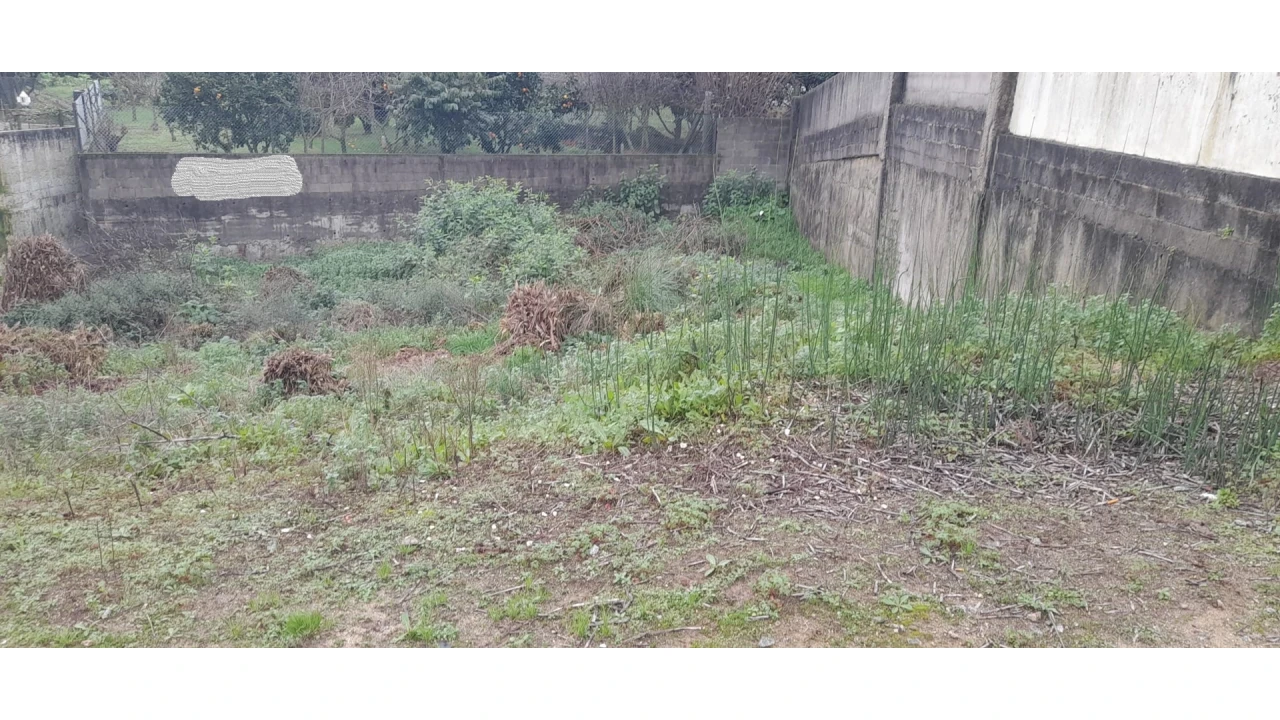 Terreno para Venda em Canelas Foto 3