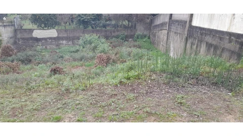 Terreno para Venda em Canelas