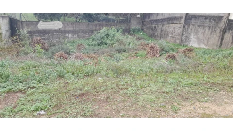 Terreno para Venda em Canelas