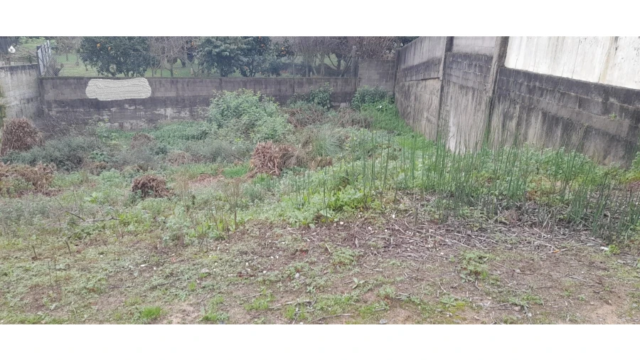 Terreno para Venda em Canelas Foto 3