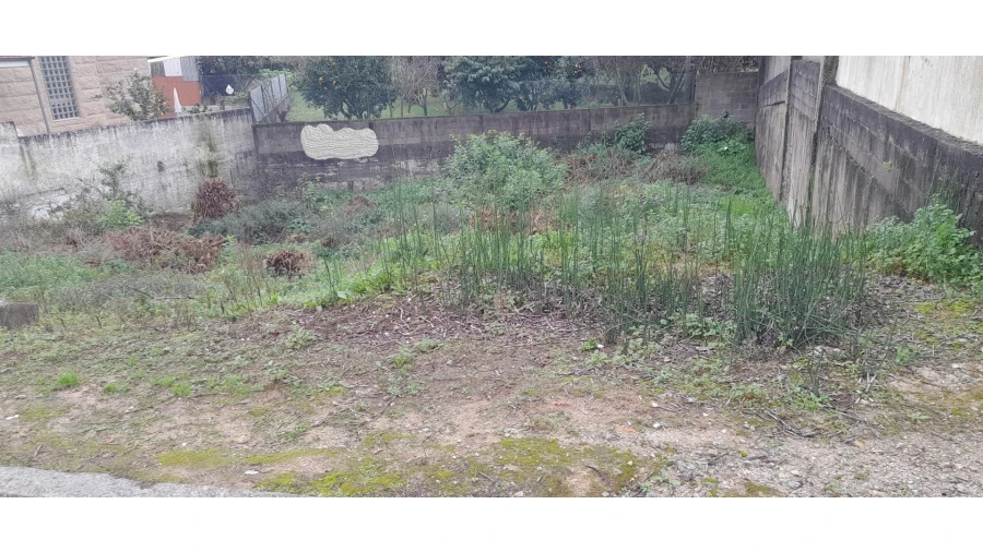 Terreno para Venda em Canelas Foto 2