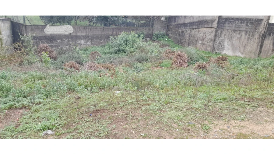 Terreno para Venda em Canelas Foto 4