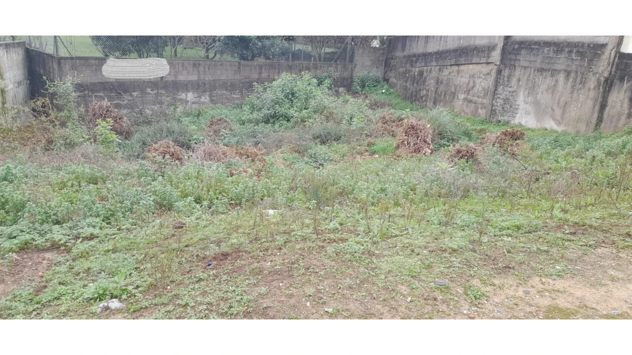Terreno para Venda em Canelas Foto 4