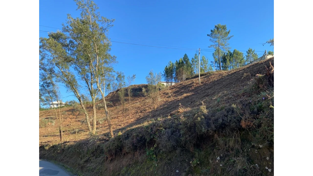 Terreno para Venda em Vila Garcia, Aboim e Chapa Foto 27