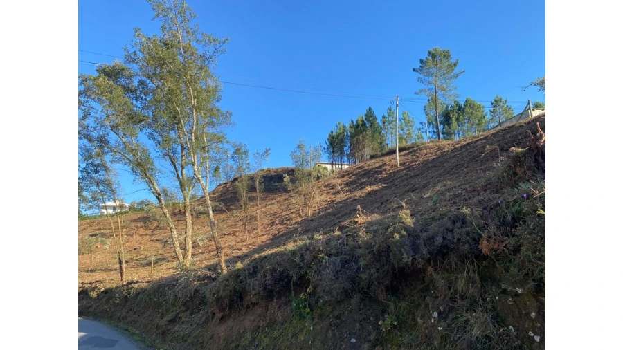 Terreno para Venda em Vila Garcia, Aboim e Chapa Foto 27