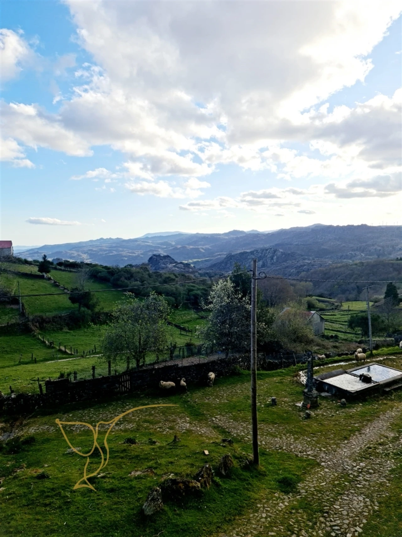 Moradia T0 para Venda em Castro Laboreiro e Lamas de Mouro Foto 16