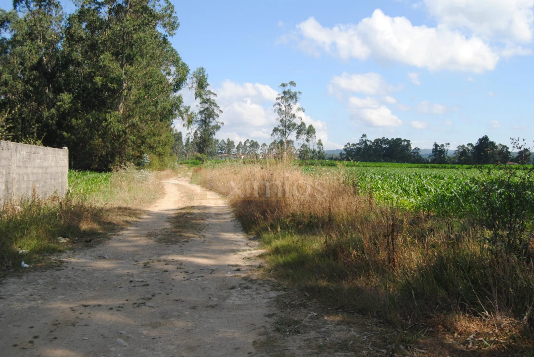 Terreno Comércio / Armazém para Venda em Rates Foto 2
