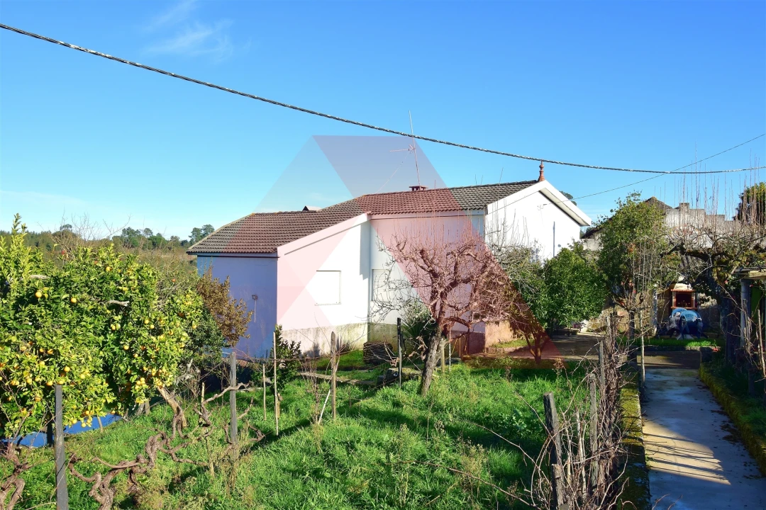 Quinta T3 para Venda em Covas e Vila Nova de Oliveirinha Foto 1