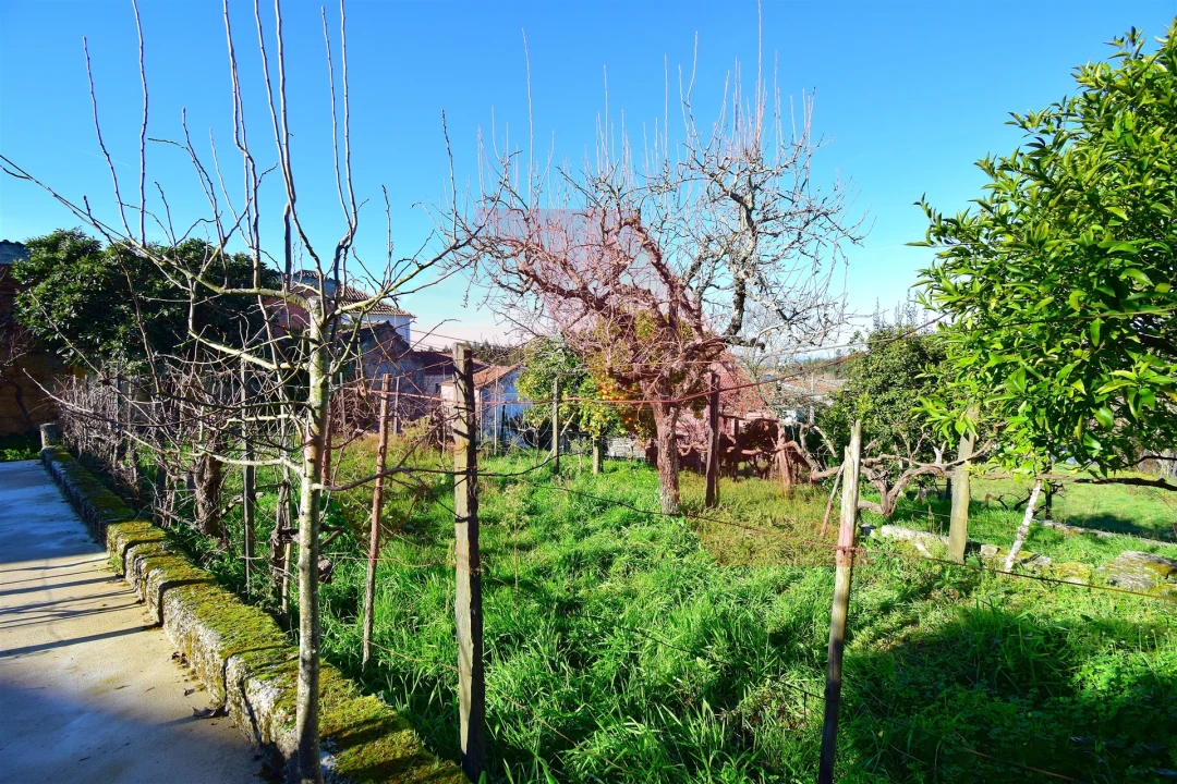 Quinta T3 para Venda em Covas e Vila Nova de Oliveirinha Foto 21