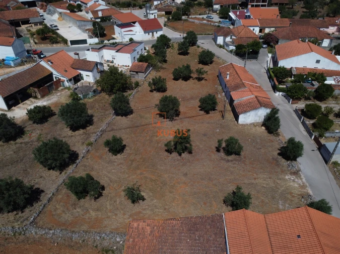 Terreno para Venda em Pedrogão Foto 14