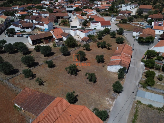 Terreno para Venda em Pedrogão Foto 13