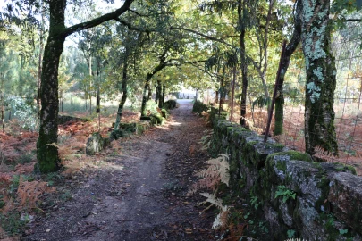 Terreno para Venda em Lustosa e Barrosas (Santo Estêvão)