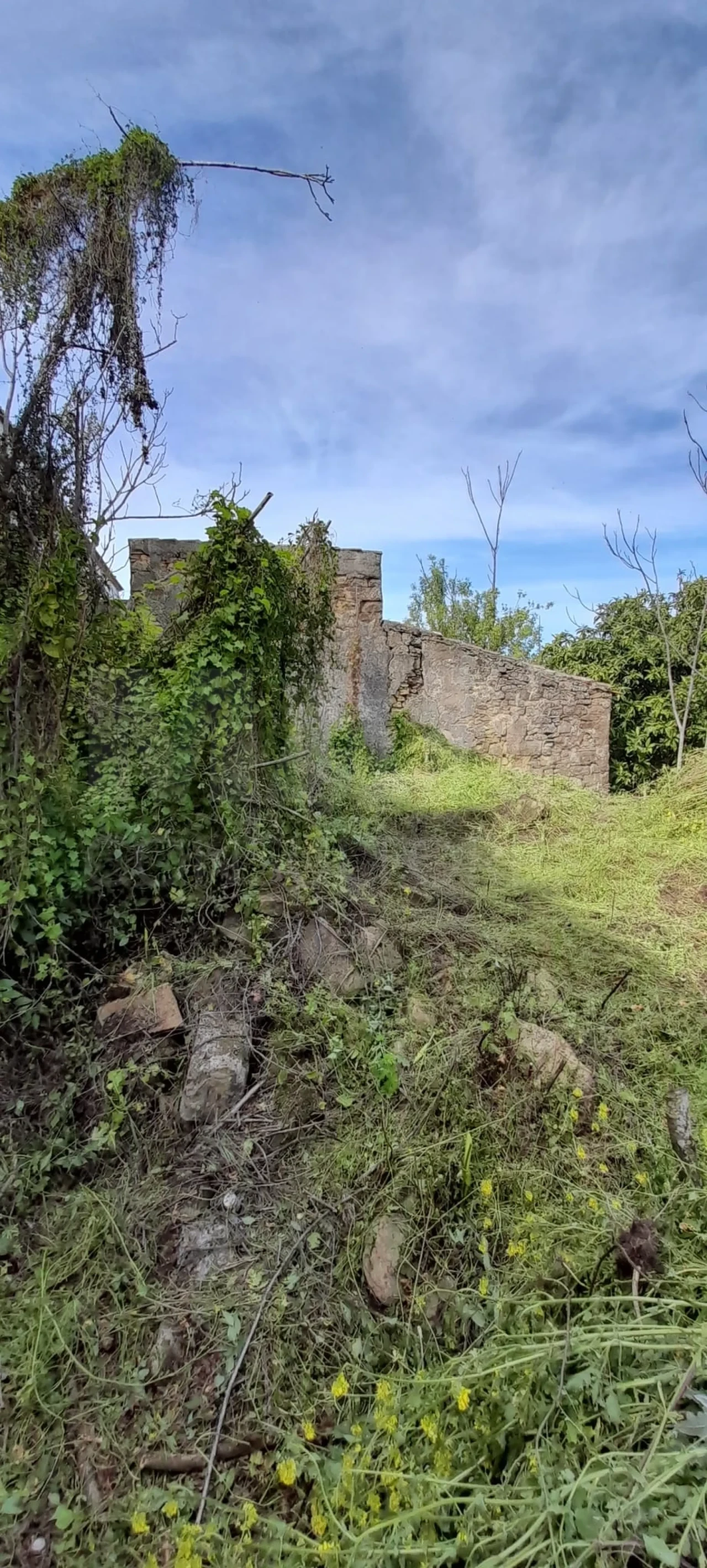 Moradia para Venda em Castanheira do Ribatejo e Cachoeiras Foto 3