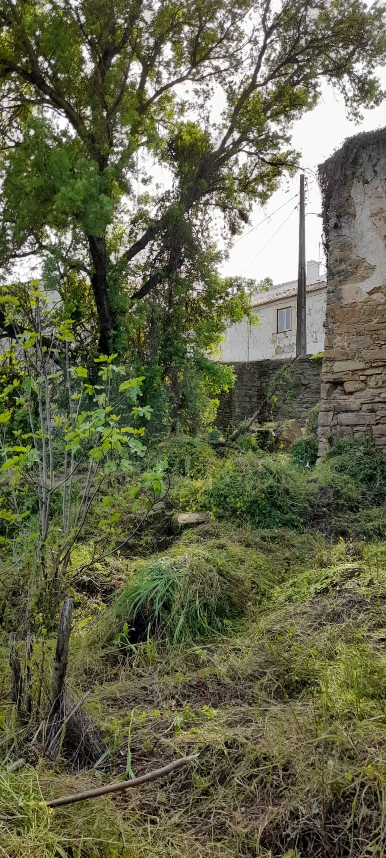 Moradia para Venda em Castanheira do Ribatejo e Cachoeiras Foto 2