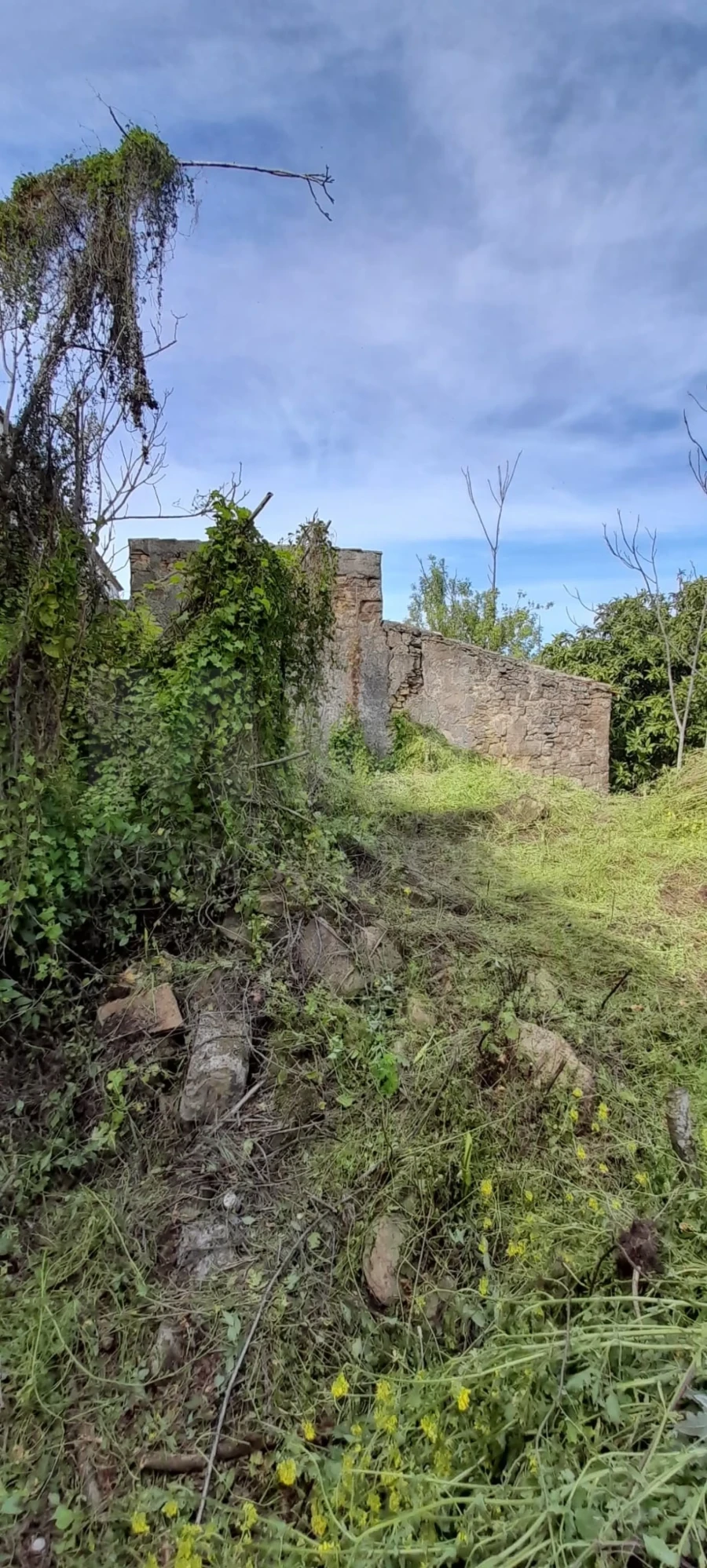 Moradia para Venda em Castanheira do Ribatejo e Cachoeiras Foto 3