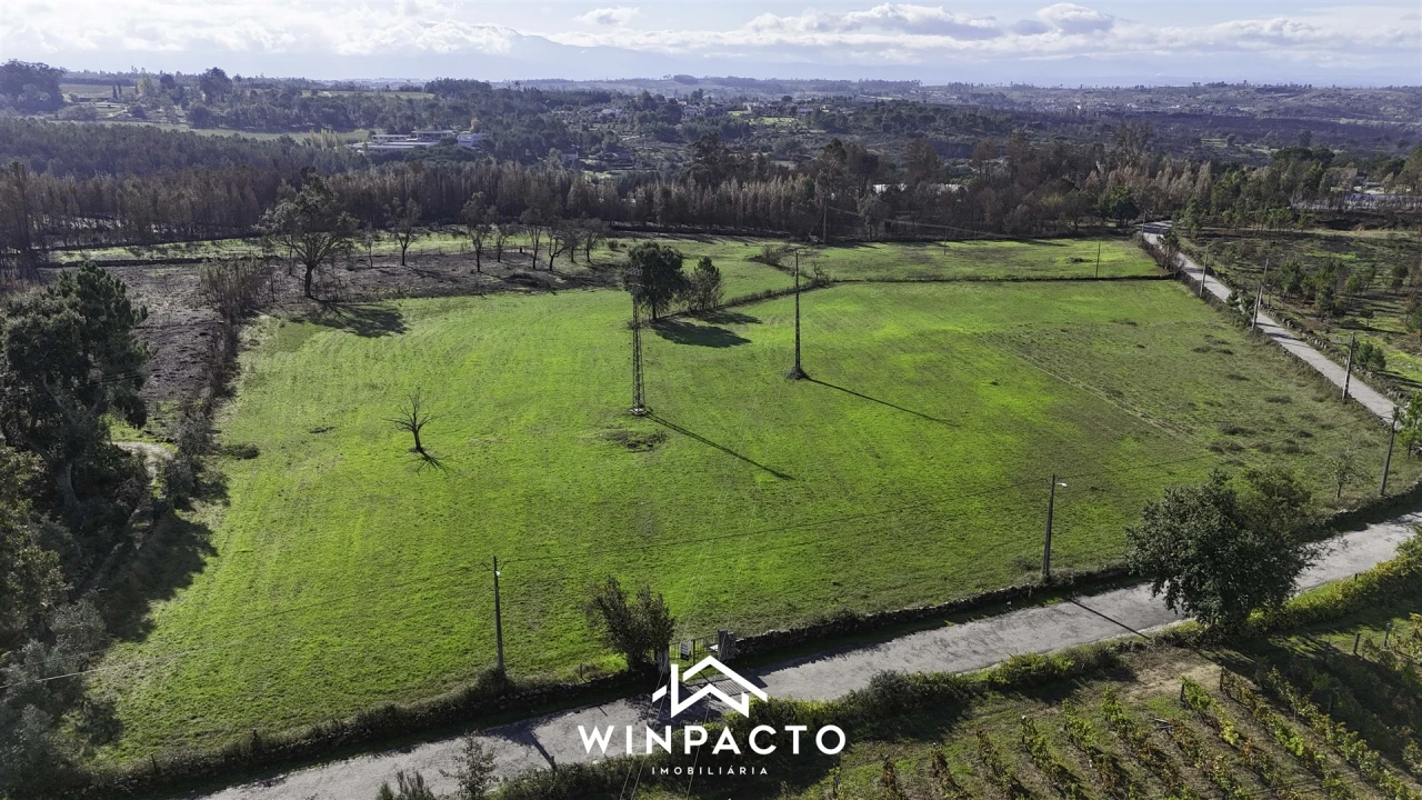 Terreno Agricola ou Rústico para Venda em Espinho Foto 4