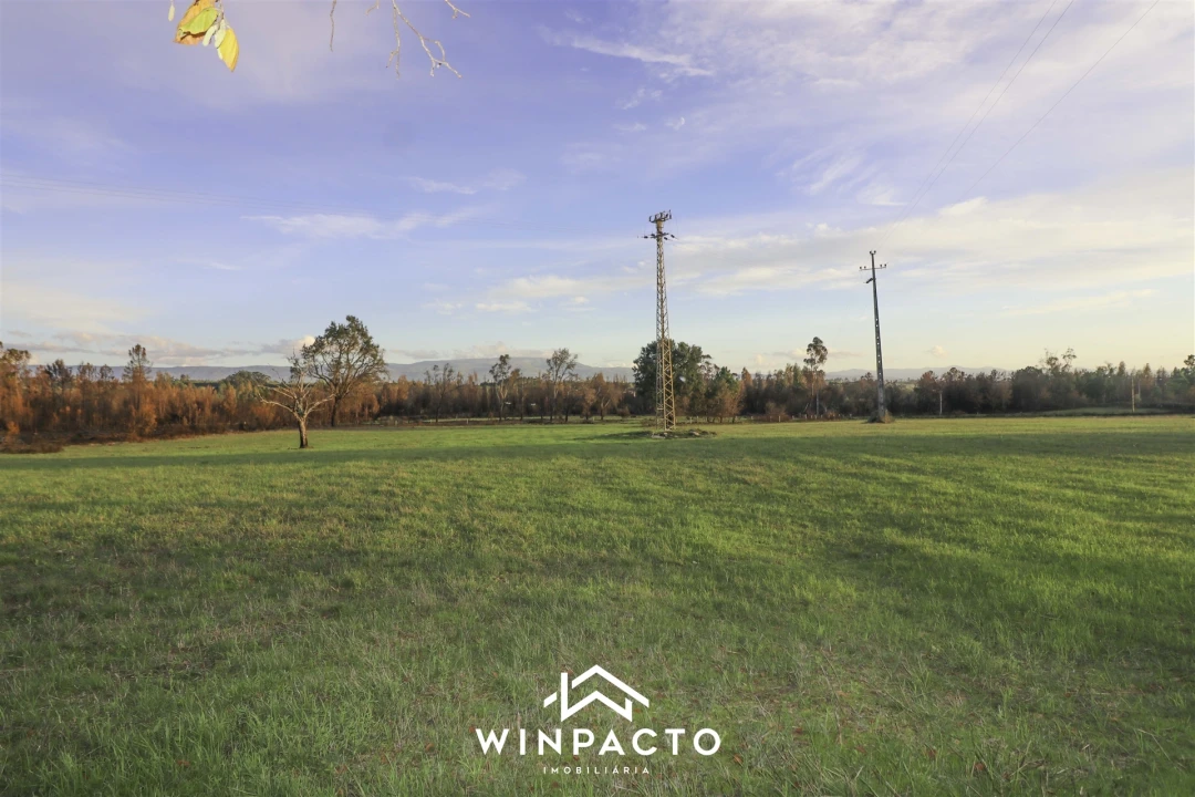 Terreno Agricola ou Rústico para Venda em Espinho Foto 7