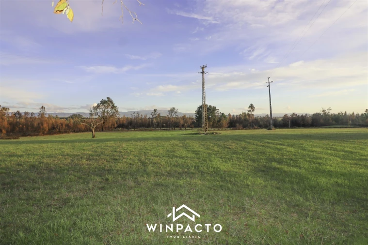 Terreno Agricola ou Rústico para Venda em Espinho Foto 7