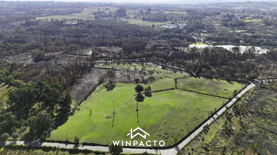 Terreno Agricola ou Rústico para Venda em Espinho Foto 3