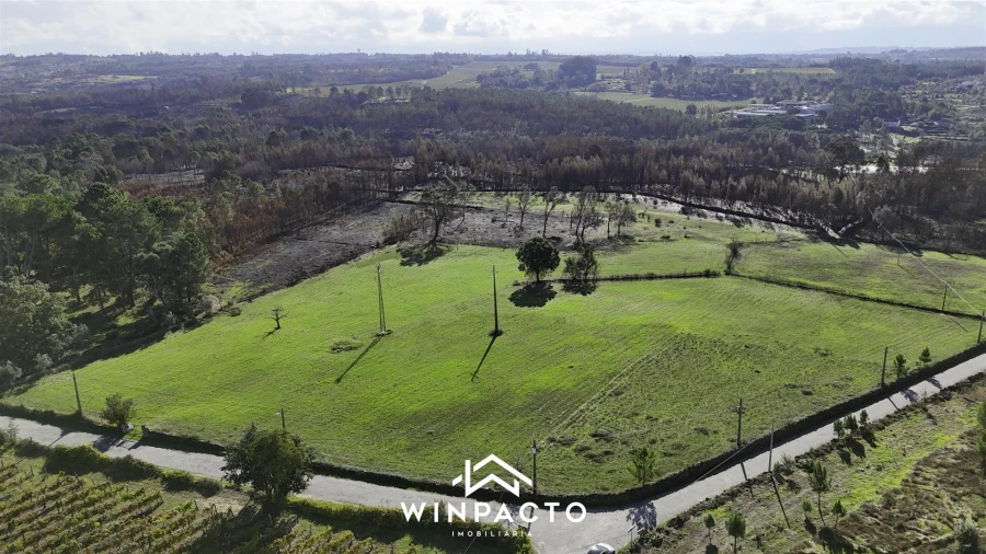 Terreno Agricola ou Rústico para Venda em Espinho Foto 5