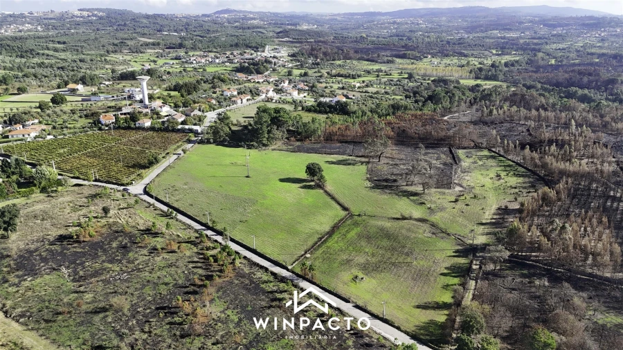 Terreno Agricola ou Rústico para Venda em Espinho Foto 2