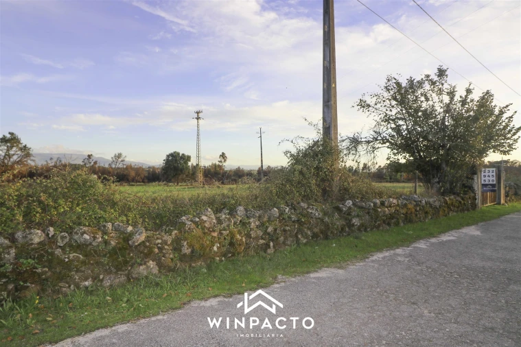 Terreno Agricola ou Rústico para Venda em Espinho Foto 6